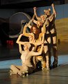 Lionking 0552